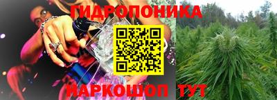 сатива Новозыбков