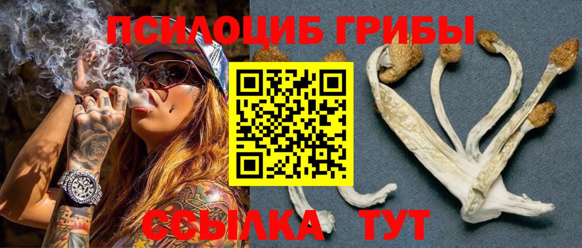 Среднеуральск  Псилоцибиновые грибы Magic Shrooms  Вход с VPN  Псилоцибиновые грибы Psilocybe 